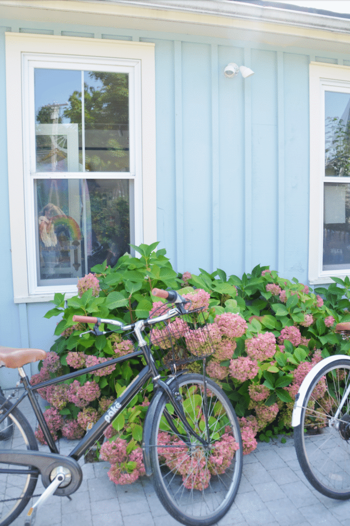 things to do in Portland Maine