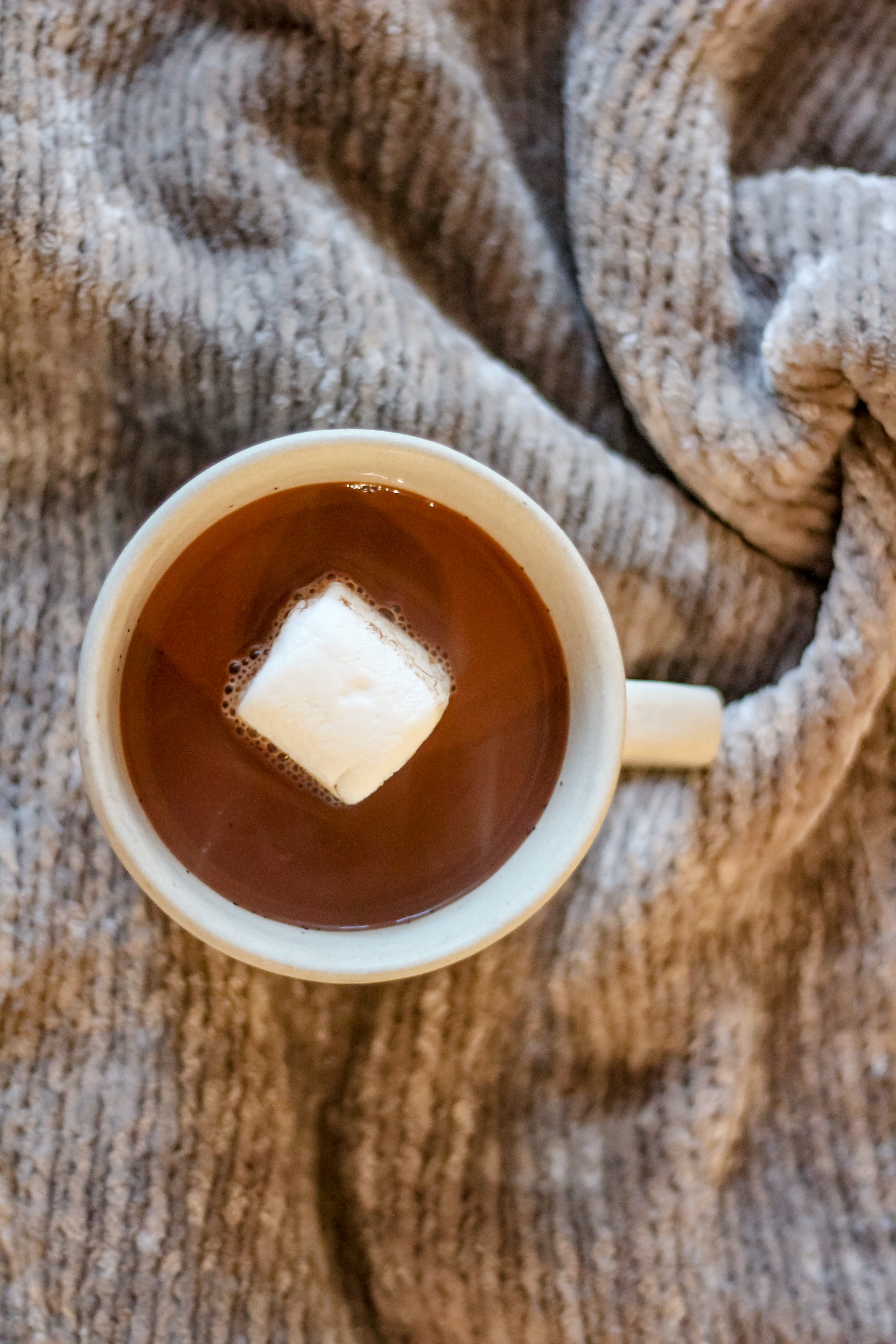 Cozy & Creamy Oat Milk Hot Chocolate