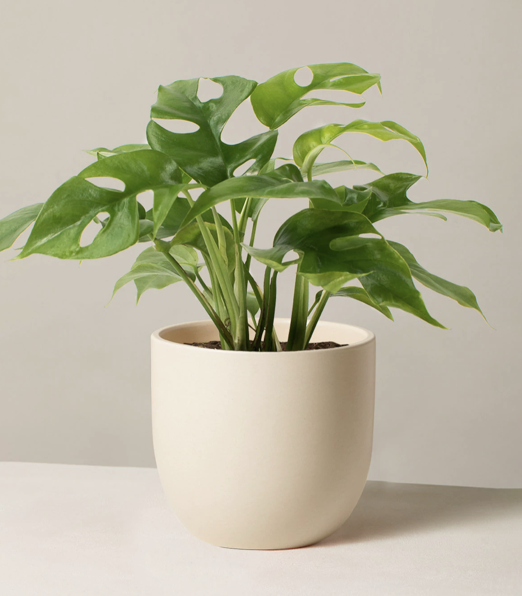 35 Best Birthday Gifts for the Mom Who Has Everything Mozie