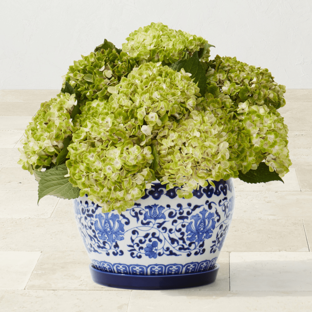 coastal grandmother decor ideas