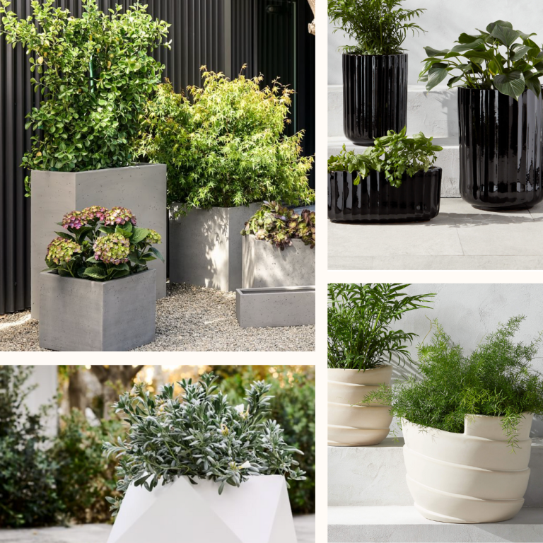 12 Gorgeous Modern Outdoor Pots and Planters to Spruce Up Your Outdoor Space