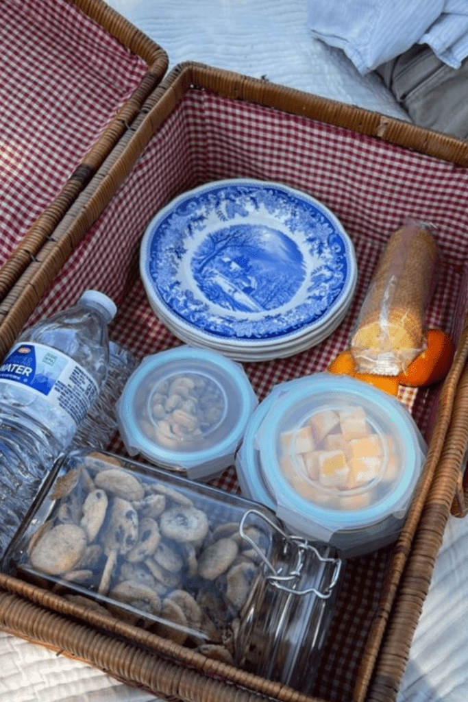 Summer Picnic Ideas