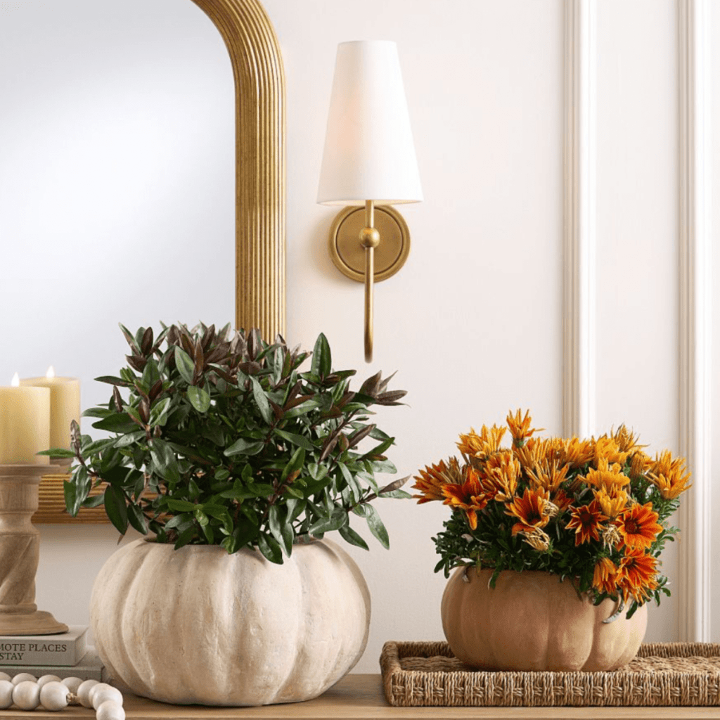 New Pottery Barn Fall Decor 