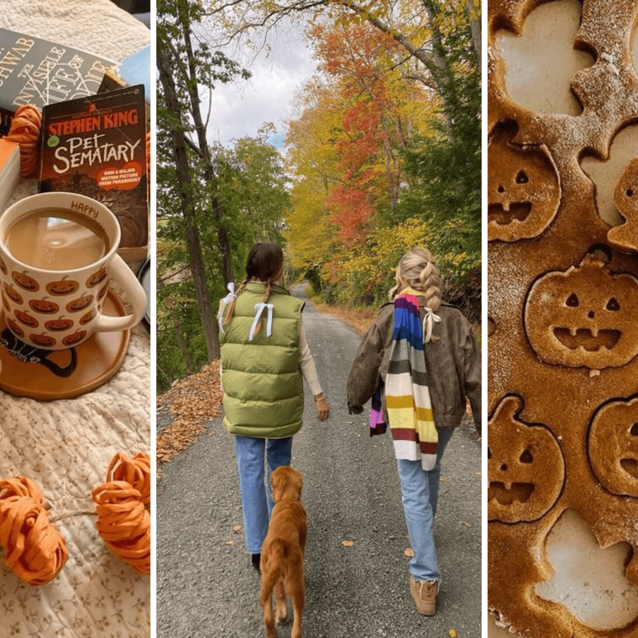 16 Fall Hobbies That Are Perfect for Sweater Weather - Mozie