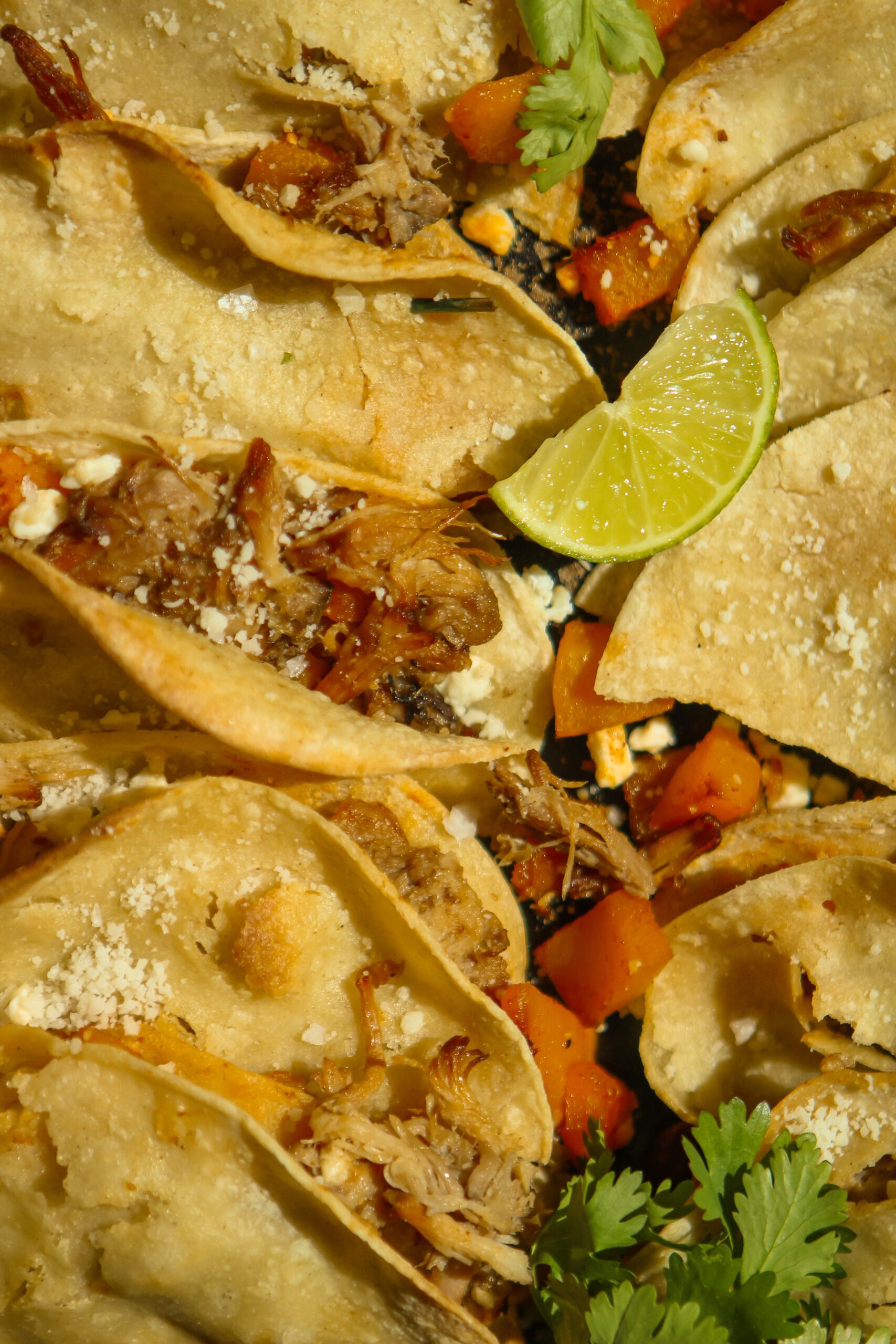 pork butternut squash tacos