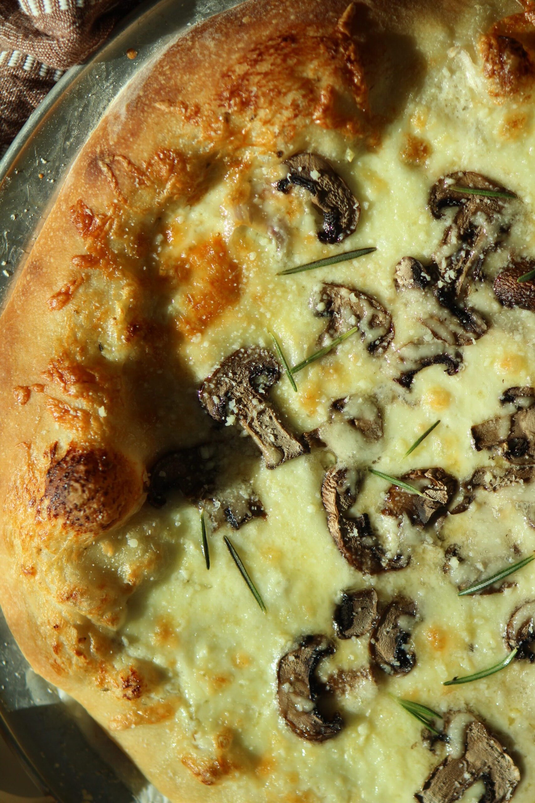 Mushroom Mozzarella Pizza with Truffle Oil