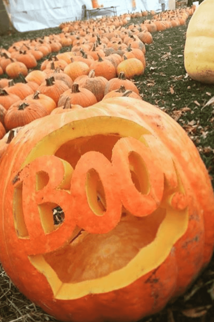 creative pumpkin carving ideas