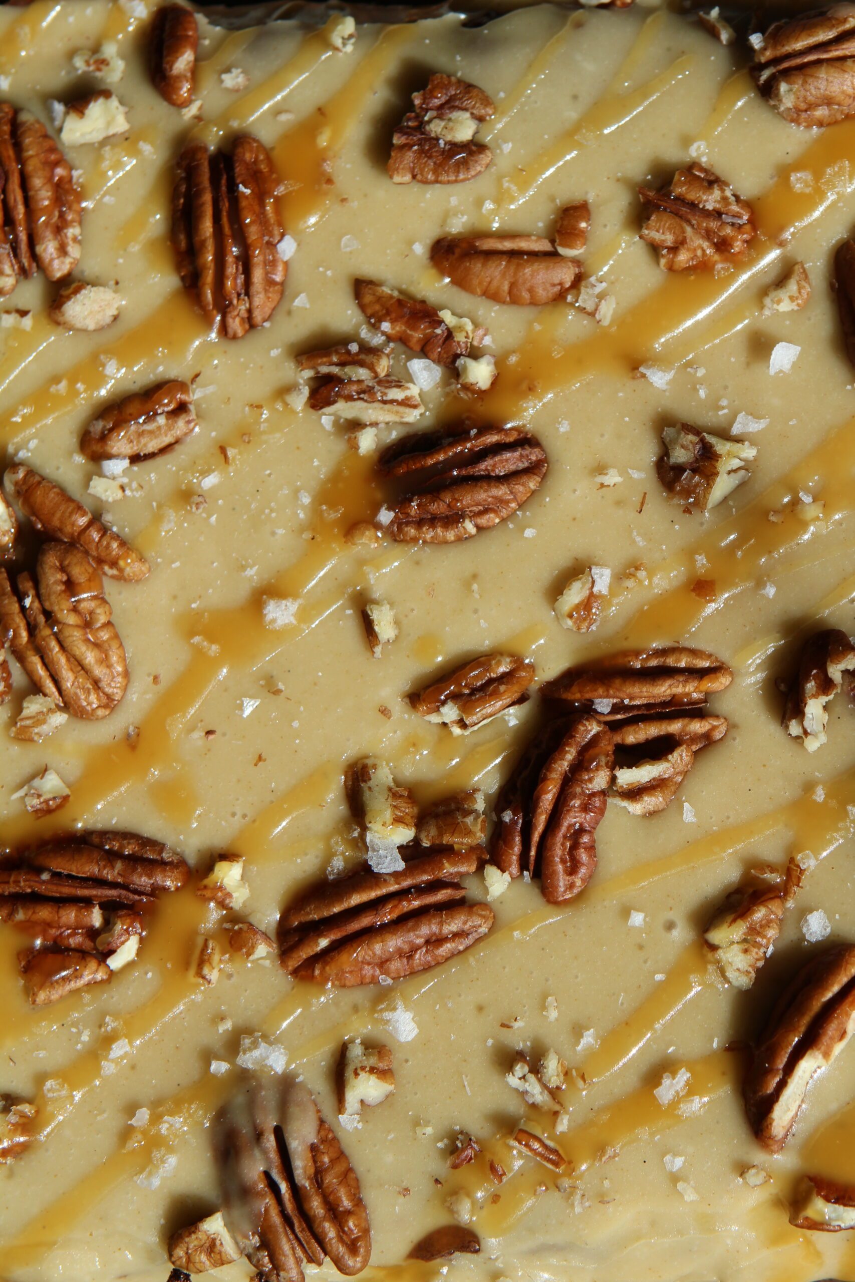 salted caramel pecan brownies