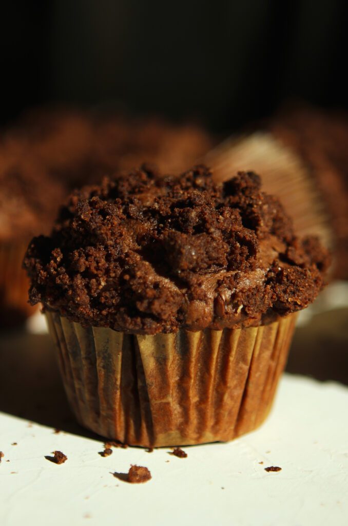 chocolate chocolate chip muffins