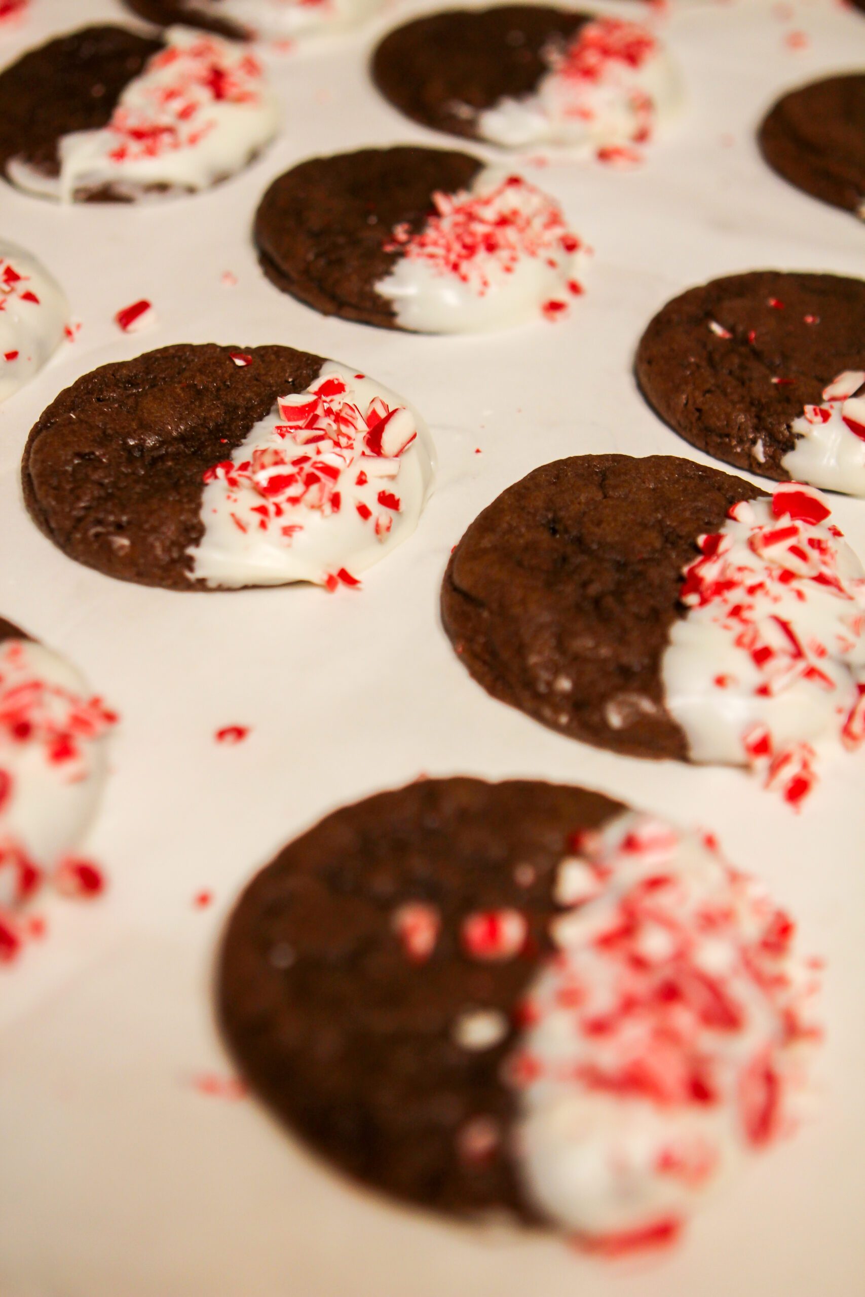 chocolate peppermint cookies