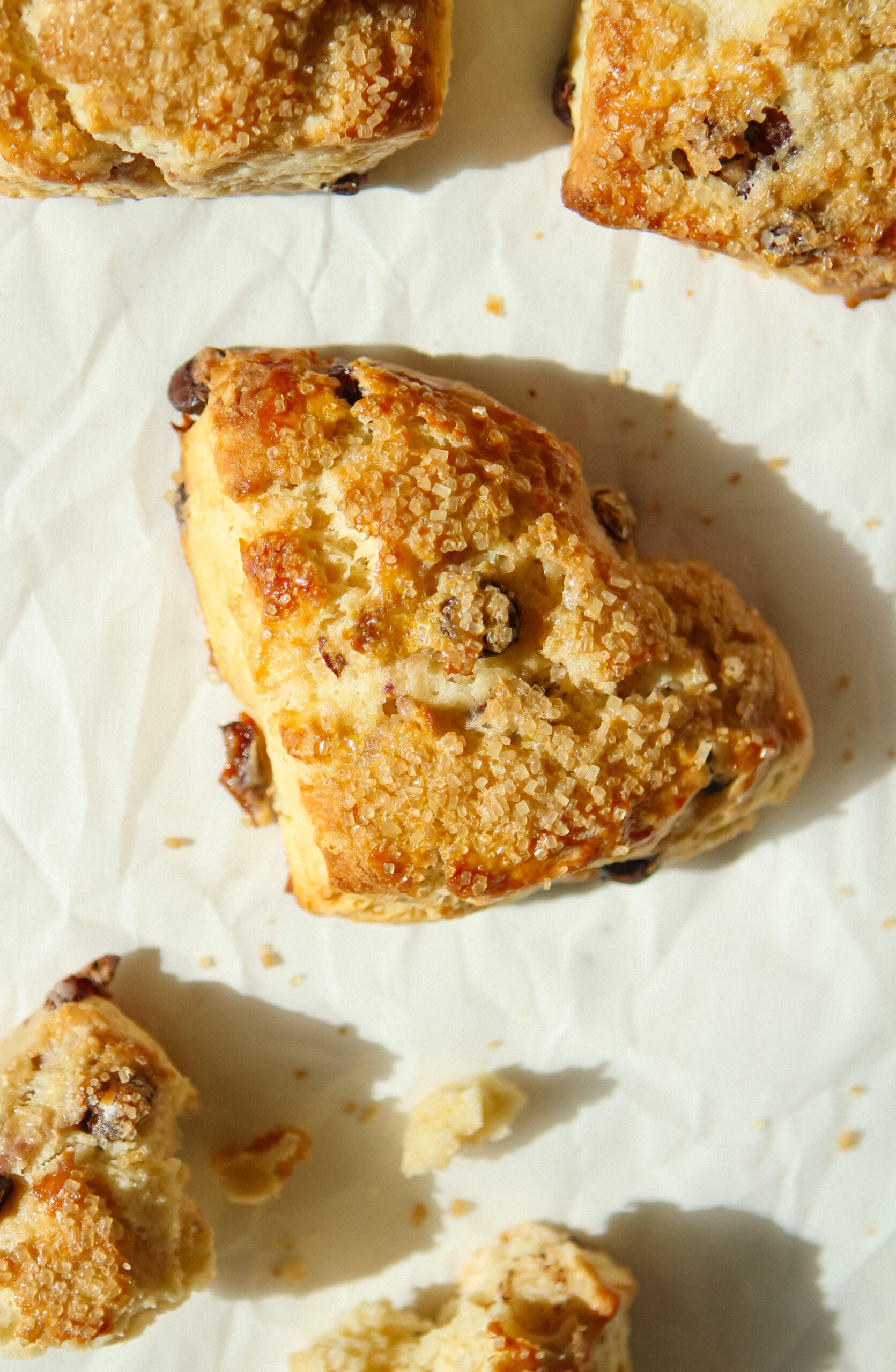 Bakery-Style Cherry Dark Chocolate Scones