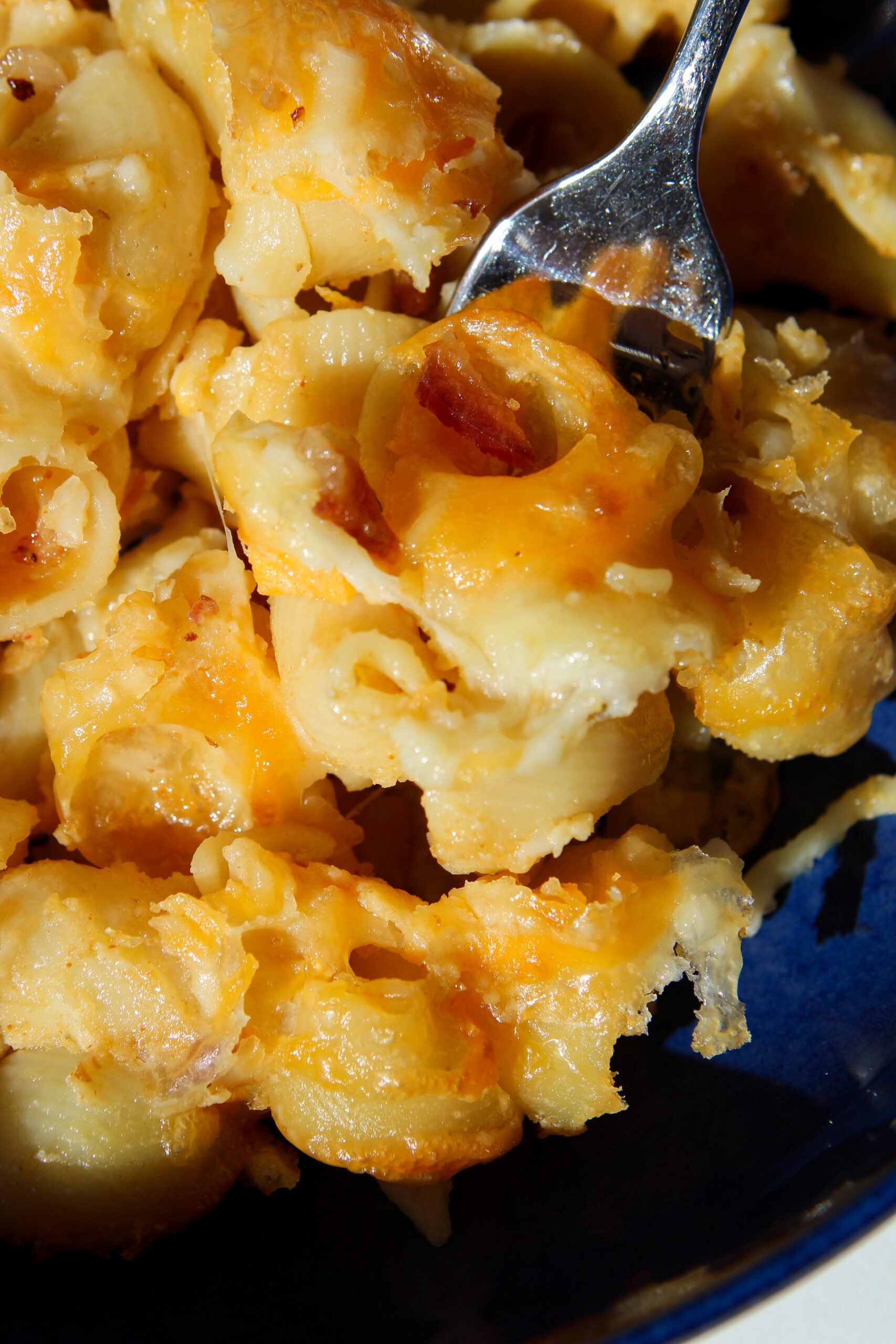 bacon mac and cheese