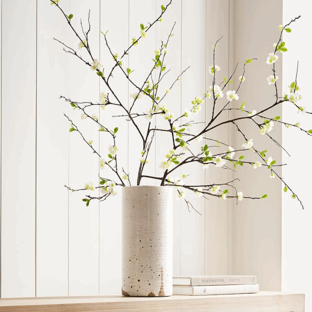 coastal coffee table decor