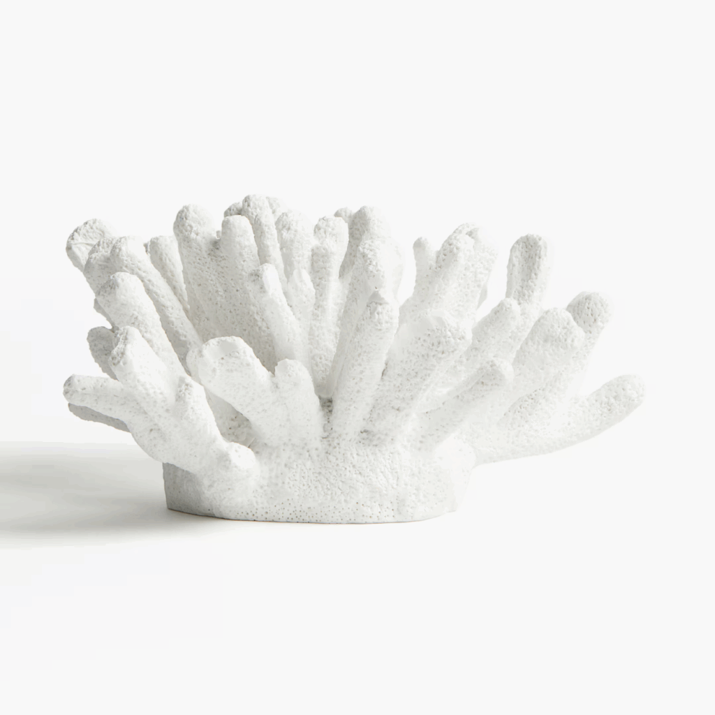 coastal coffee table decor