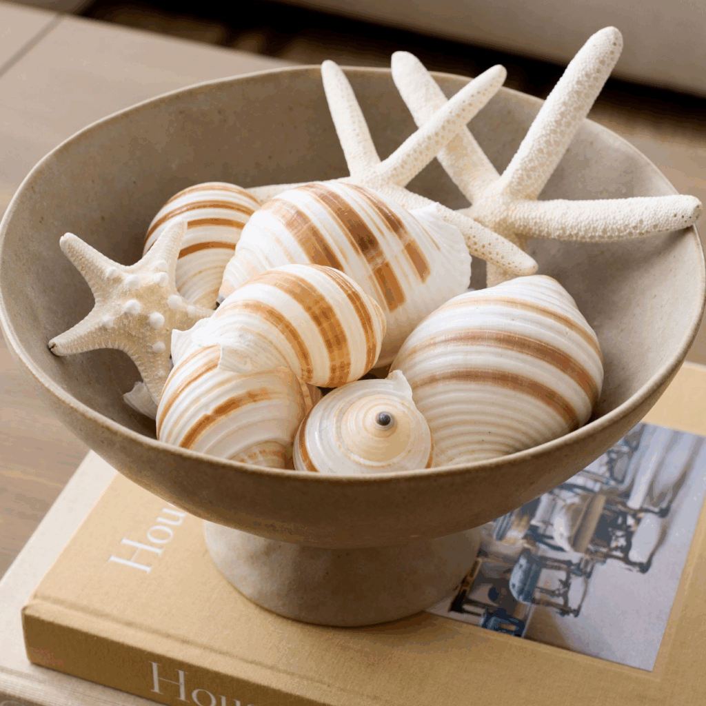 coastal coffee table decor