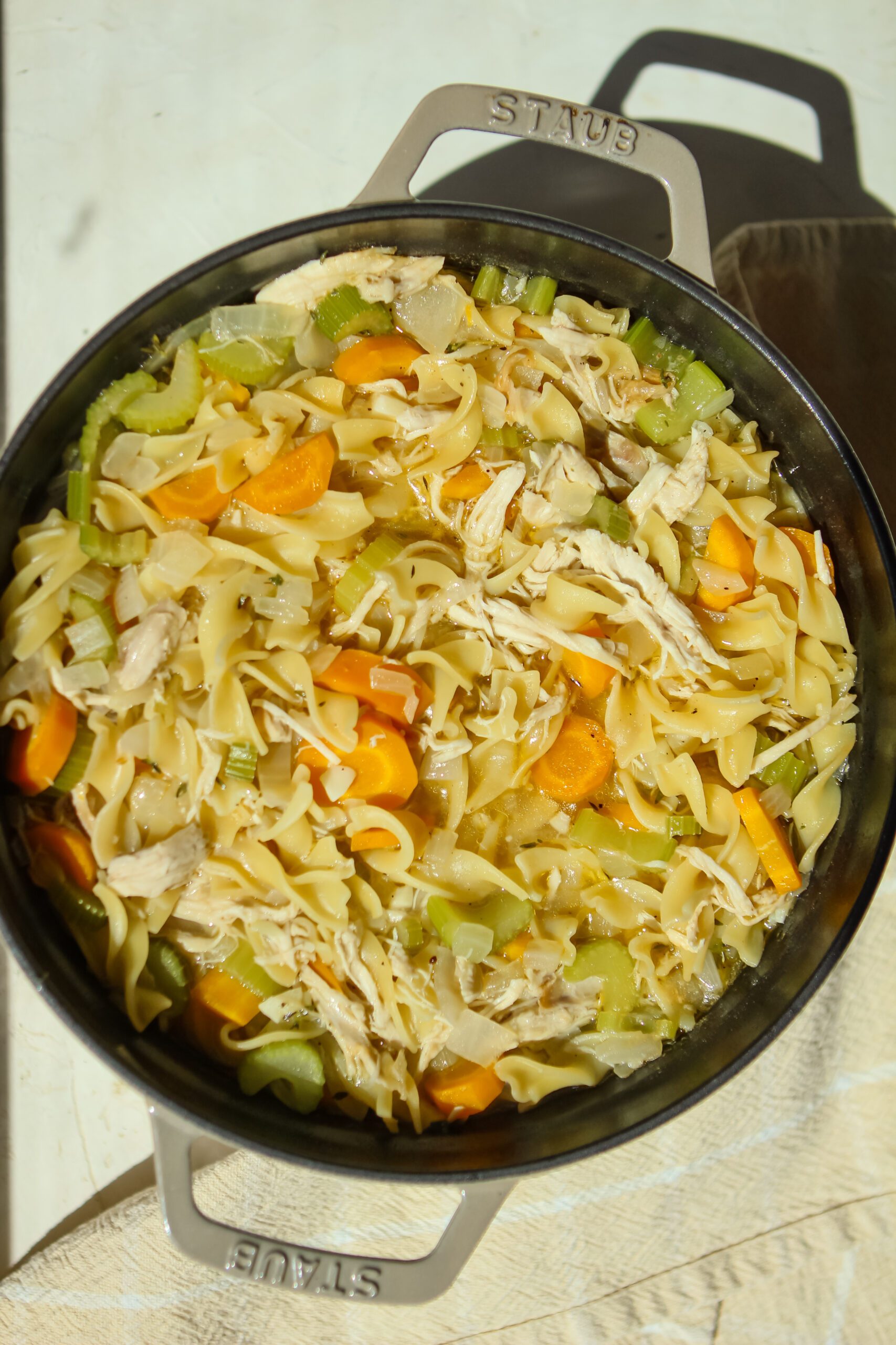 chicken noodle soup