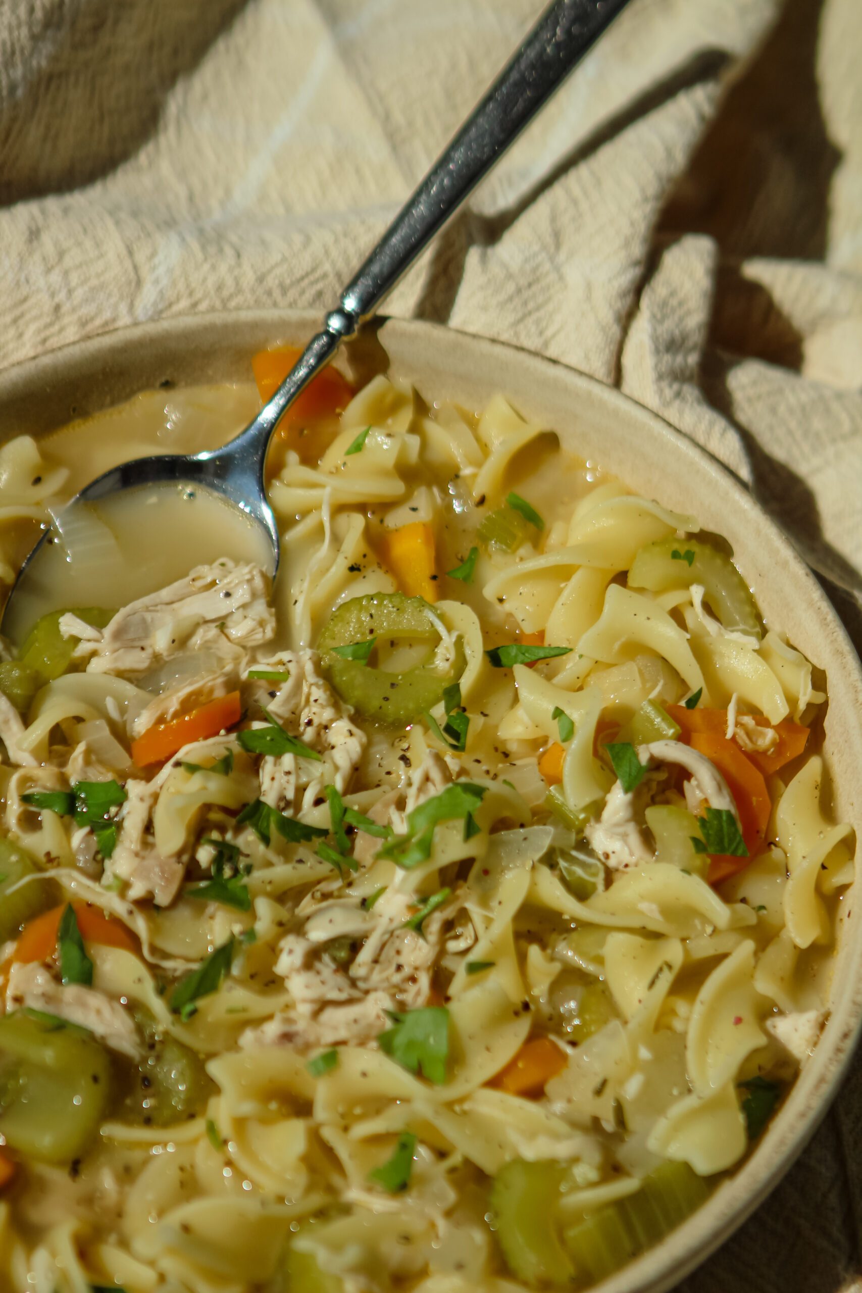 chicken noodle soup