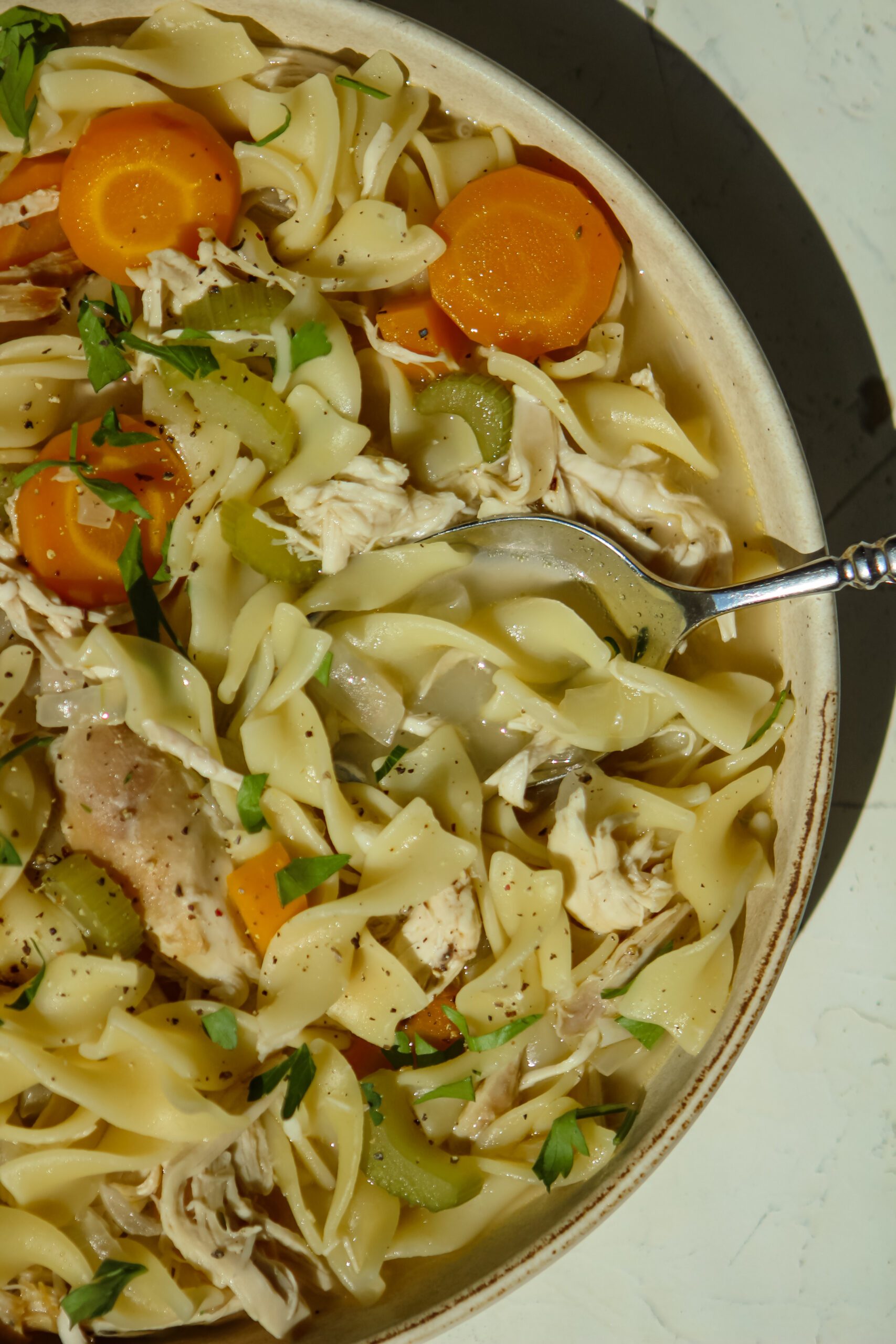 chicken noodle soup