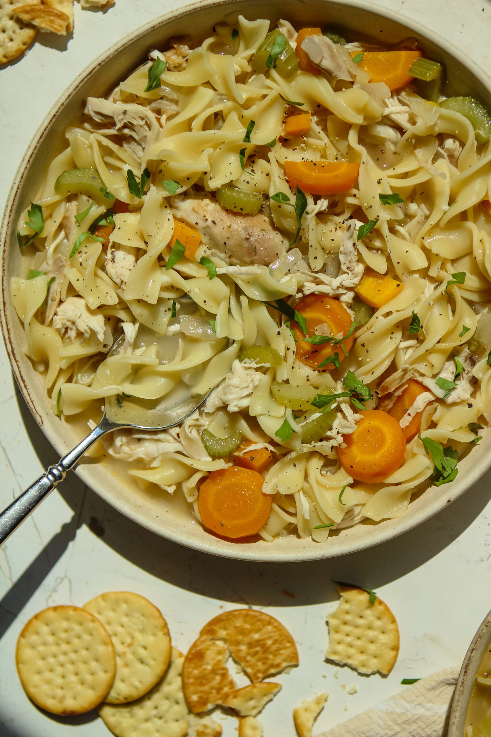 chicken noodle soup