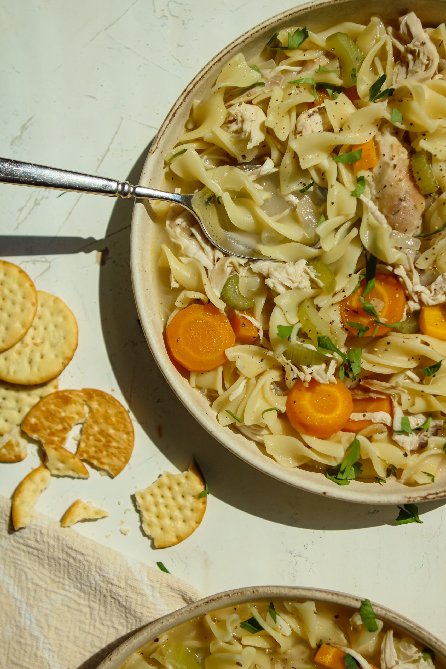 chicken noodle soup
