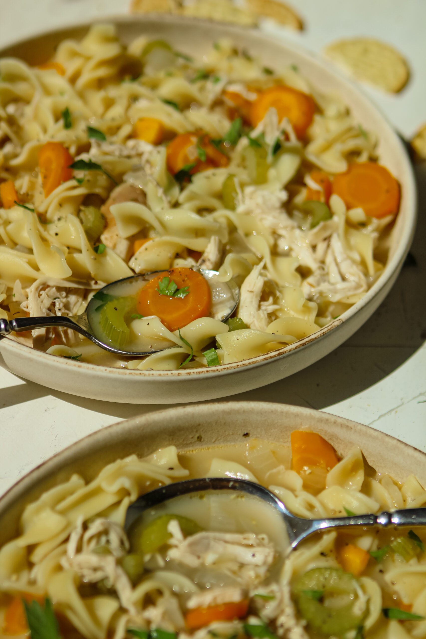 chicken noodle soup