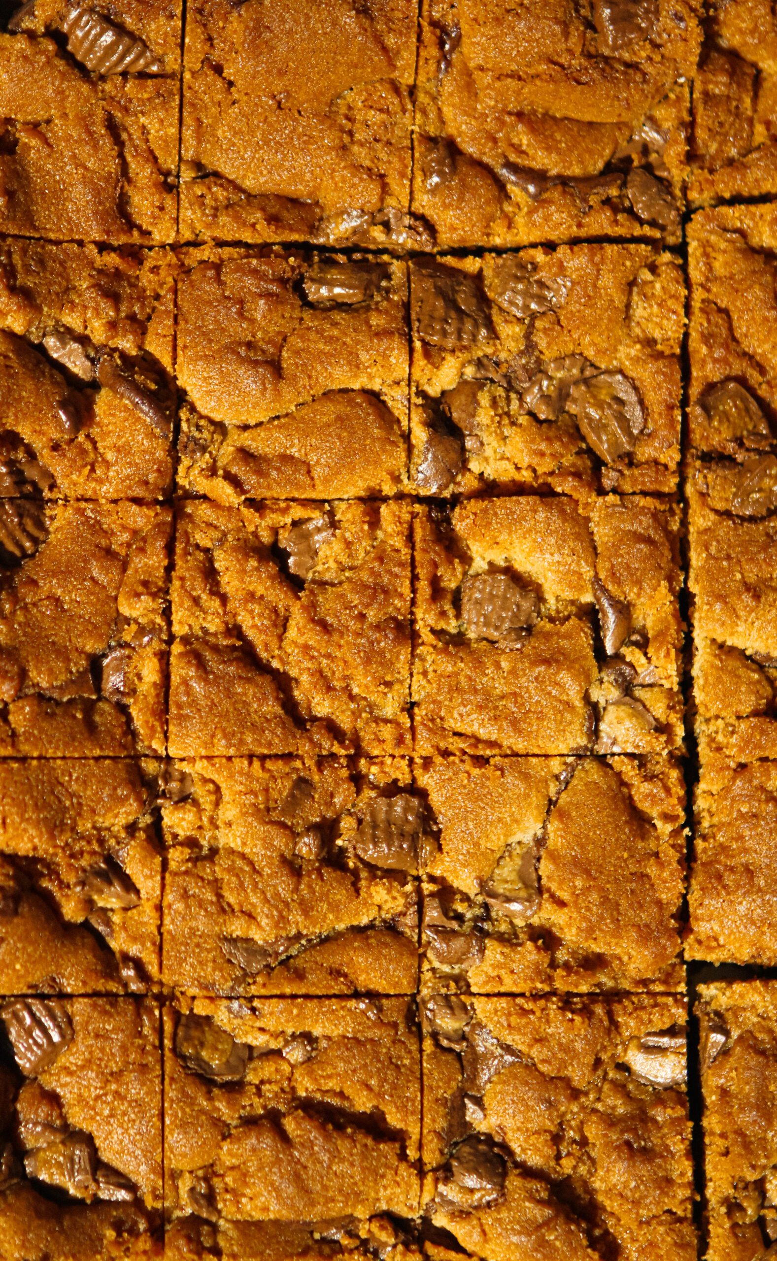 reese's peanut butter brownie bars