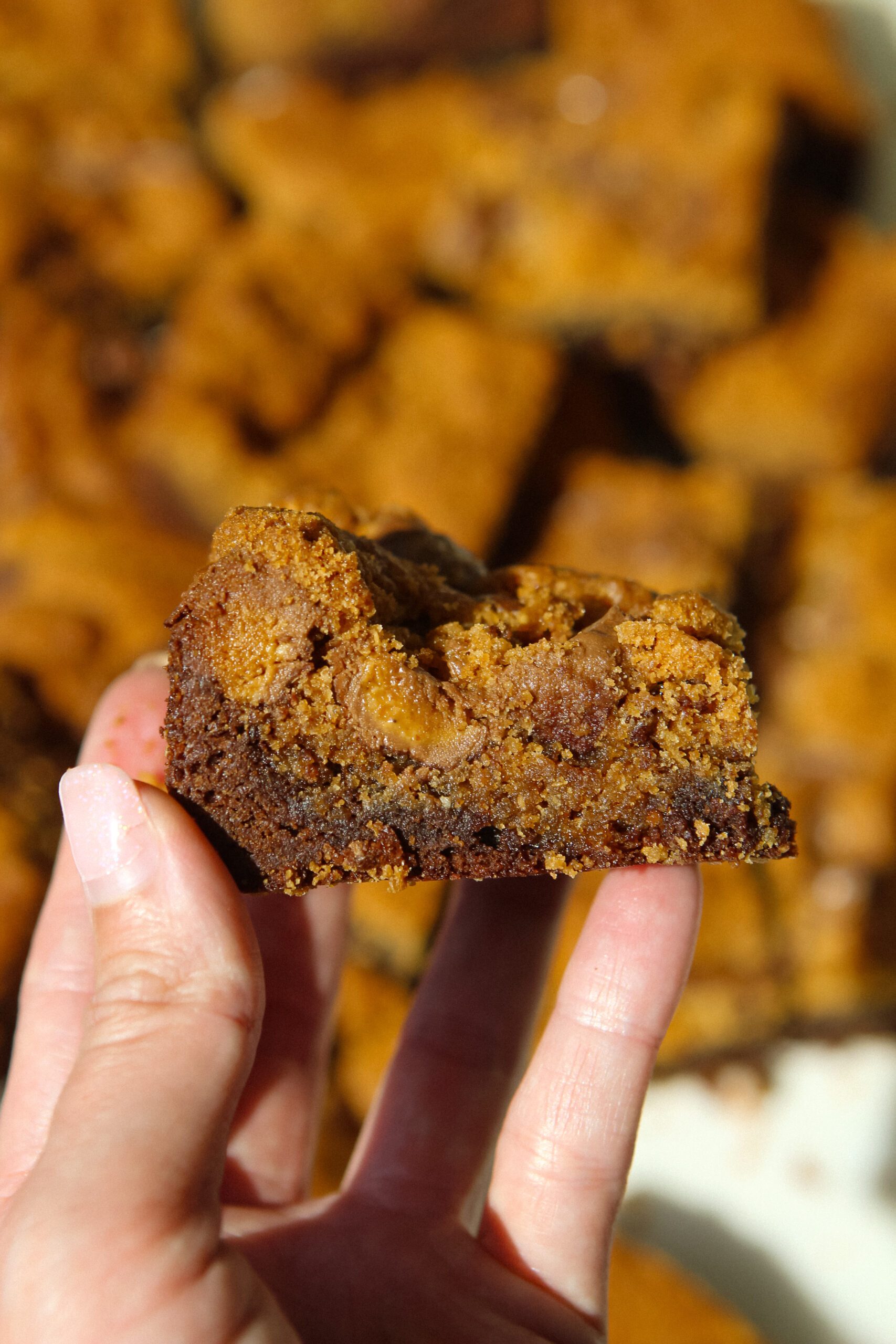 reese's peanut butter brownie bars