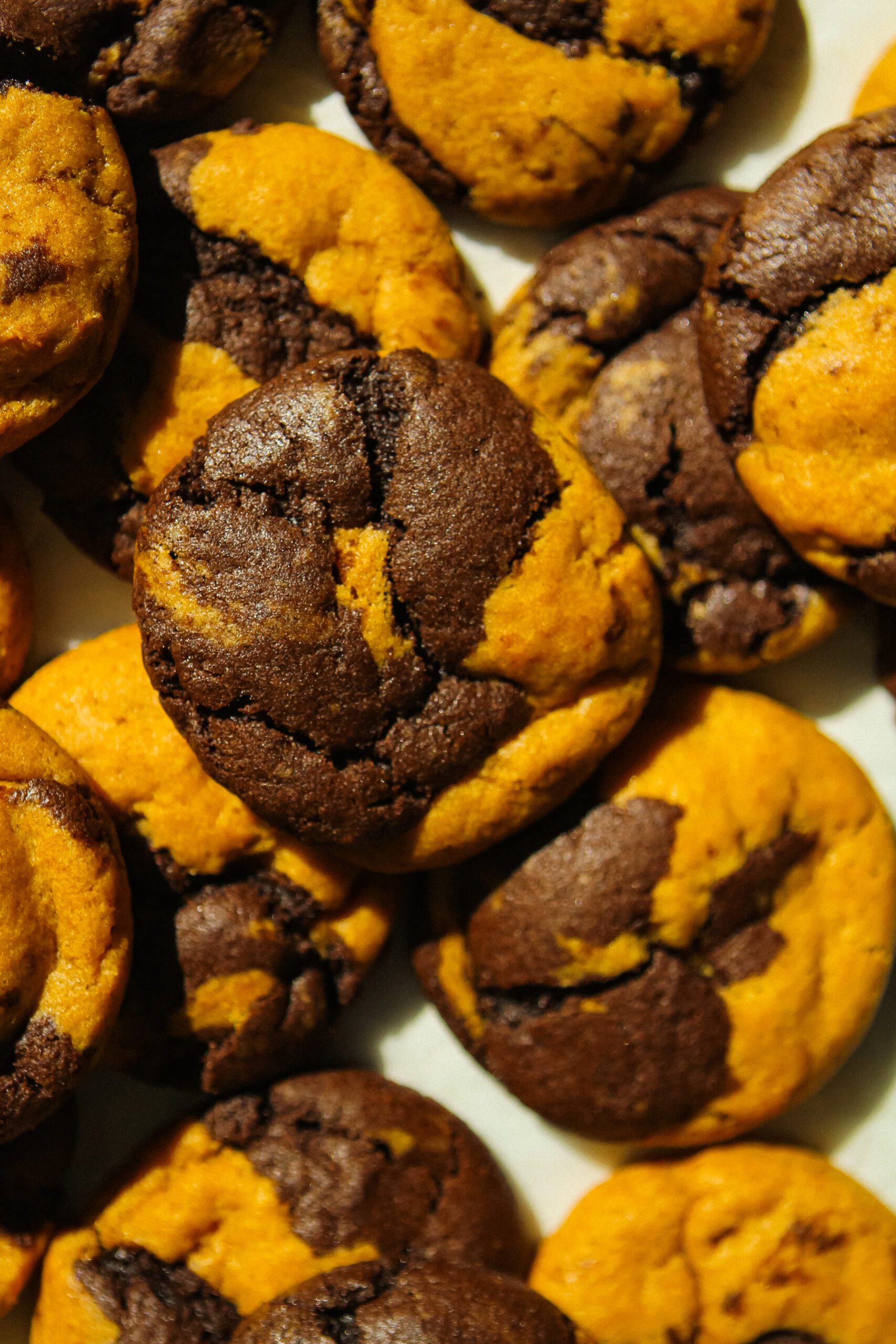 pumpkin spice latte cookies made with a pumpkin and chocolate espresso dough