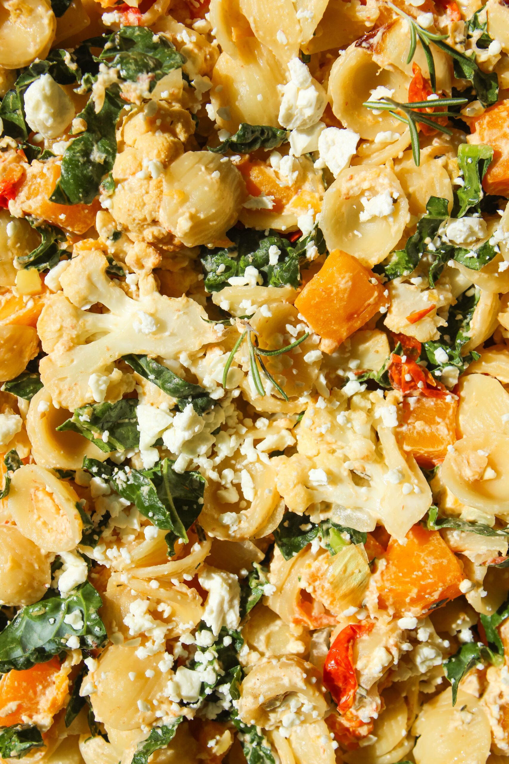 Butternut Squash Baked Feta Pasta