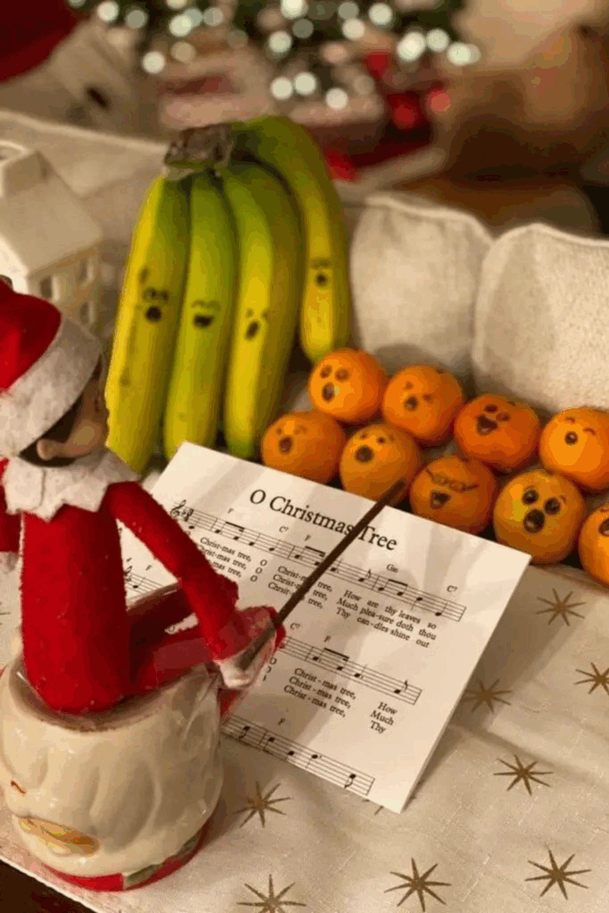 elf on the shelf ideas