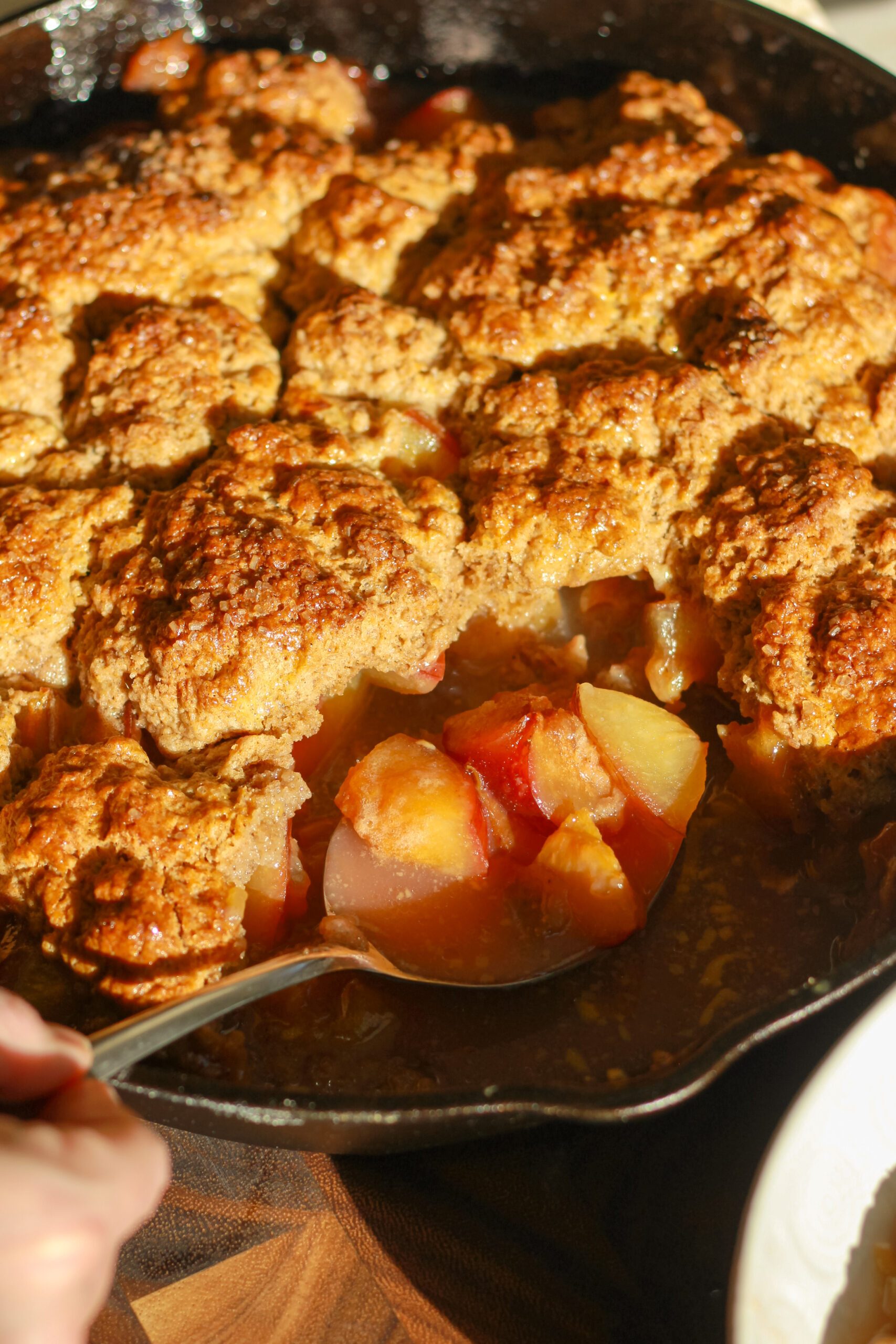 Red Plum Cobbler with Irish Soda Bread Scone Topping
