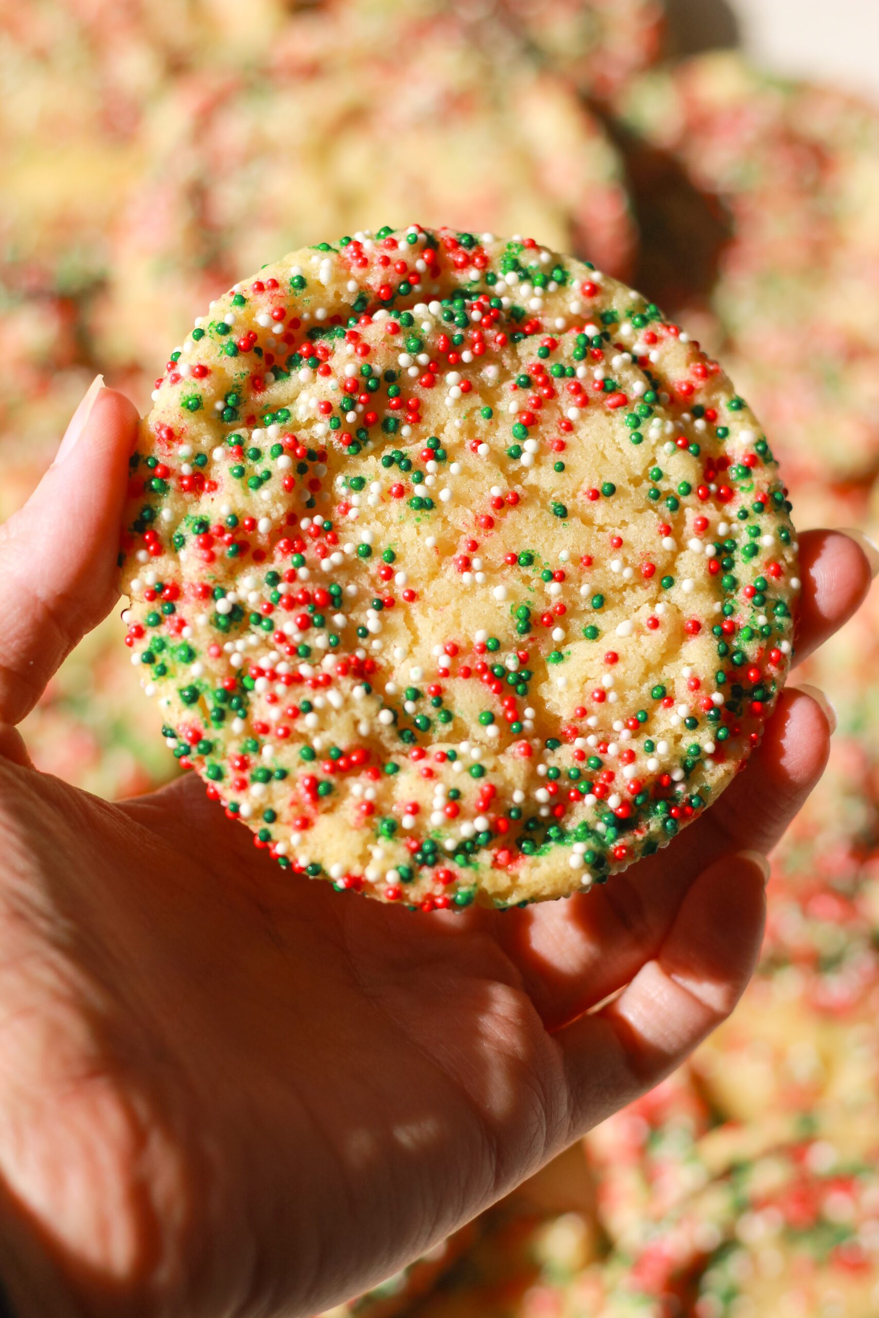 Christmas Sugar Cookies