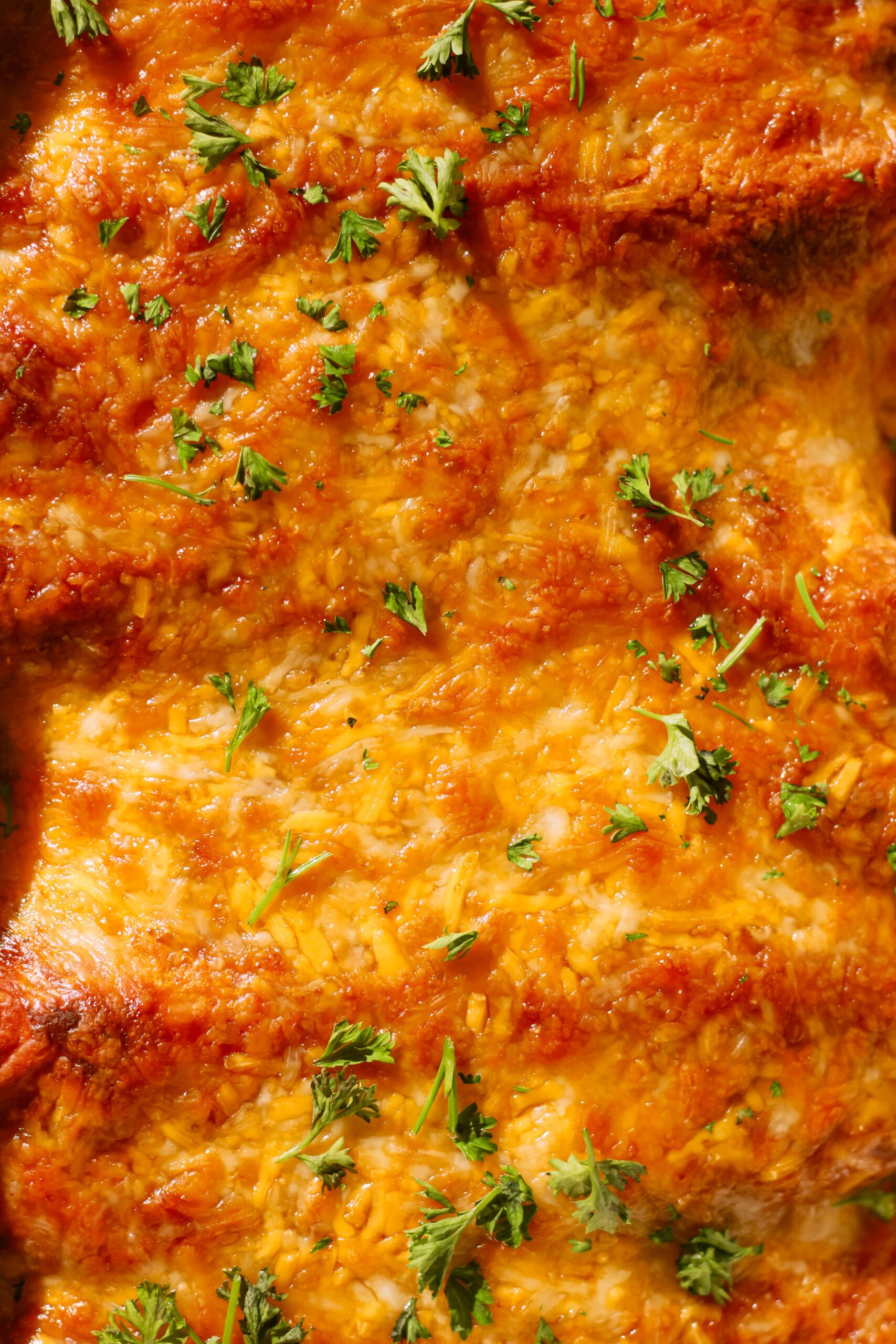 Chipotle Chicken and Cheese Enchiladas