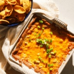 cheesy chicken bean dip