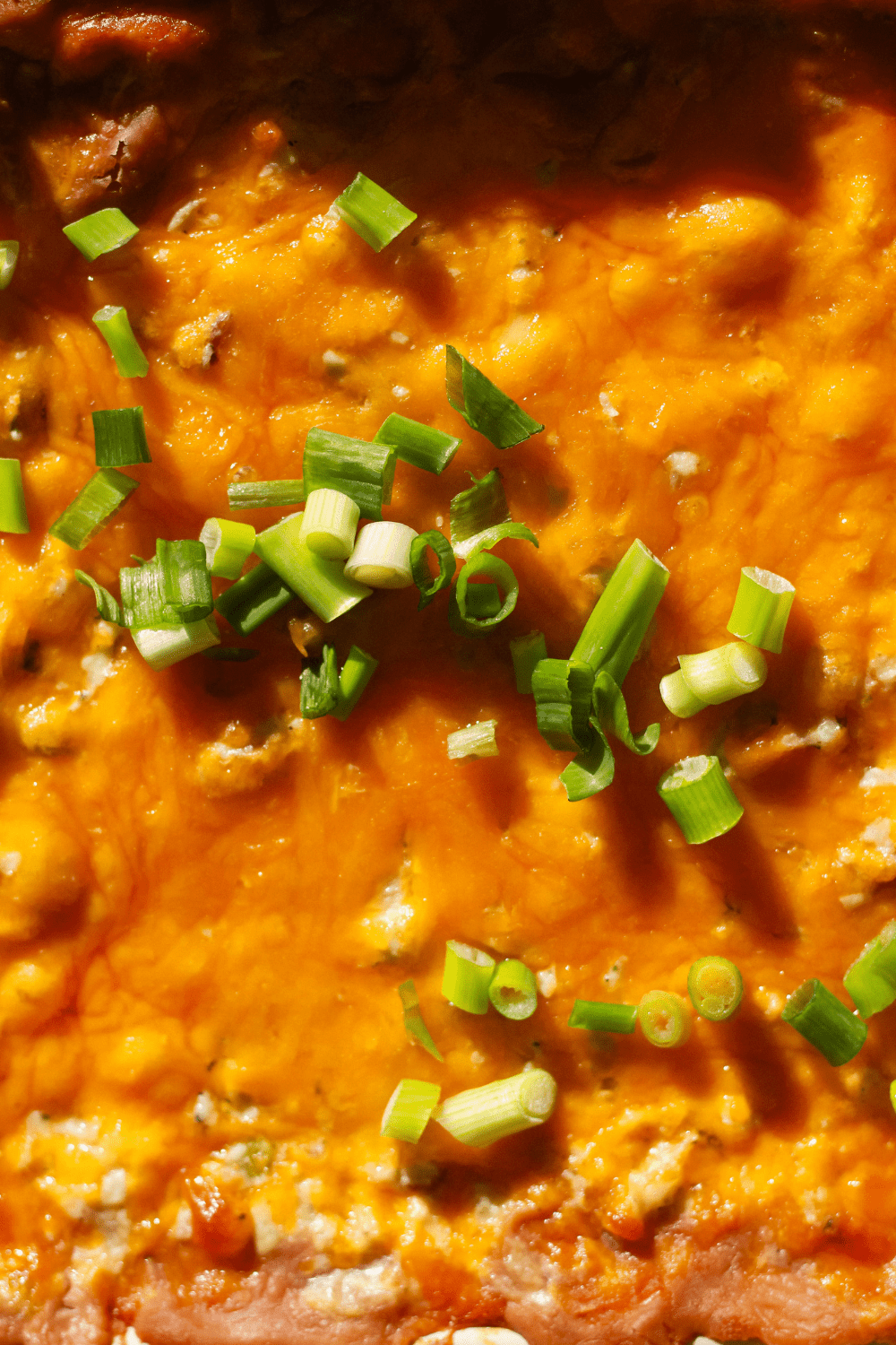 cheesy chicken bean dip