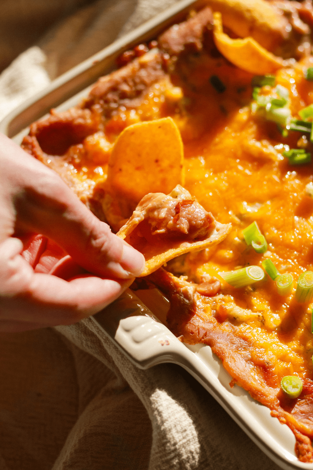 cheesy chicken bean dip