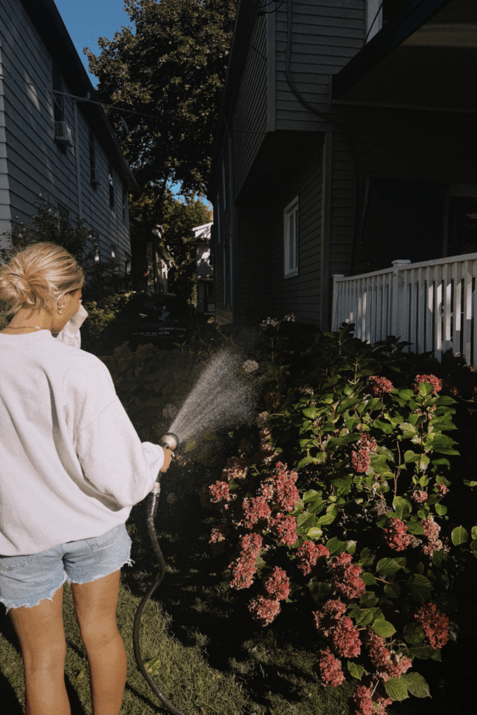 best analog activities