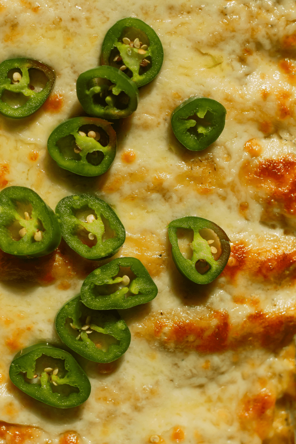 white and green chicken enchiladas