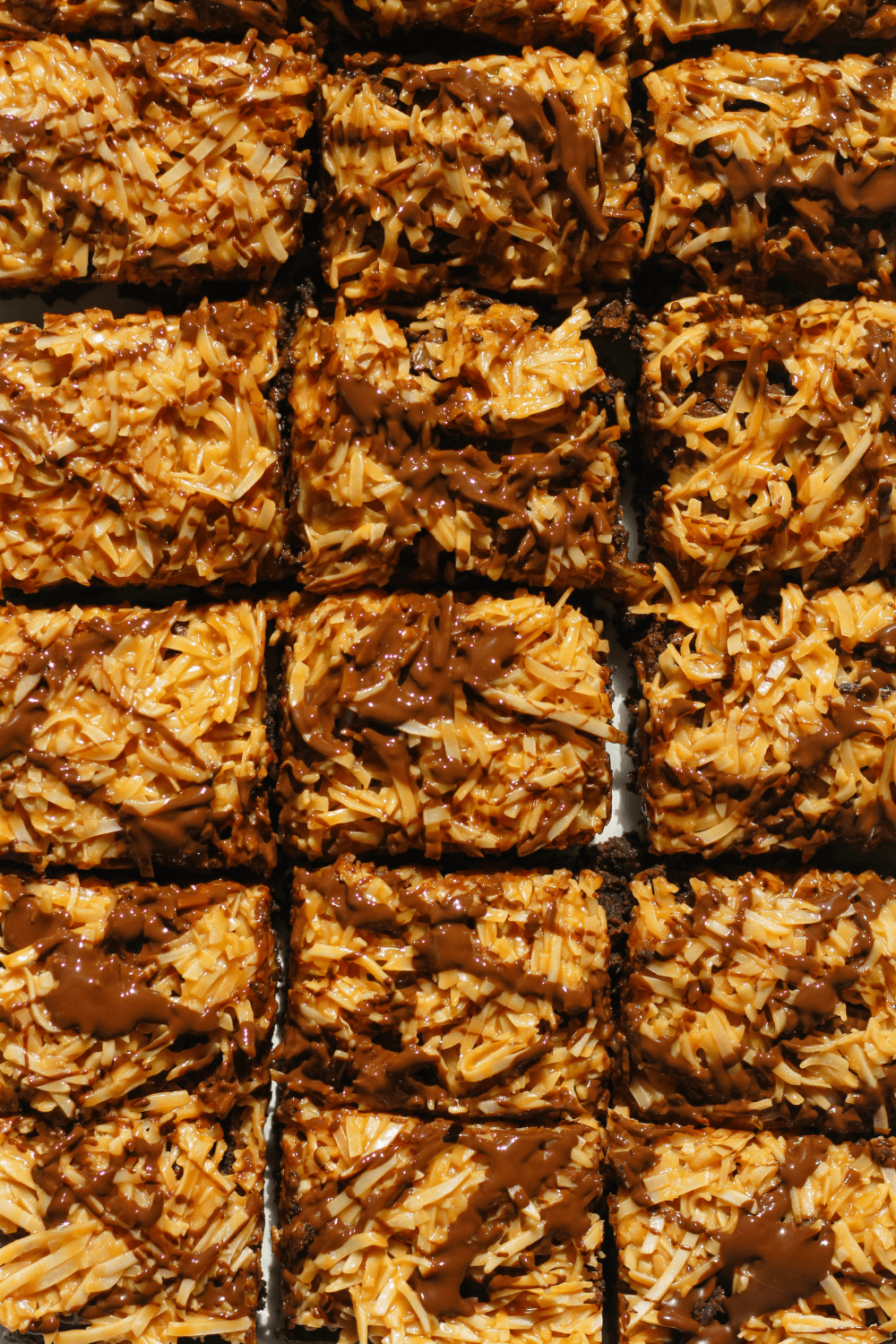 toasted coconut caramel brownies