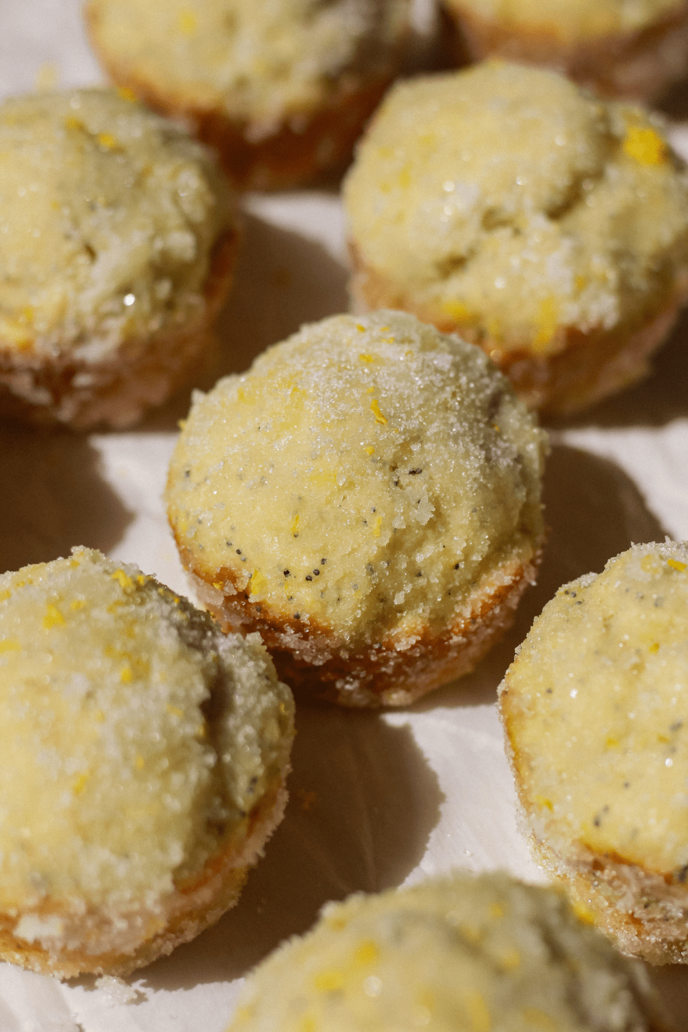 lemon poppy seed dirt bomb muffins