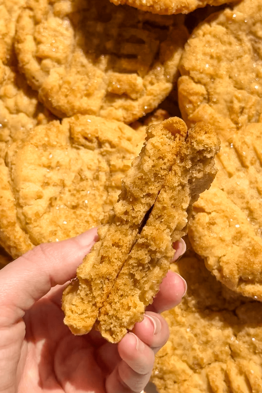 classic peanut butter cookies