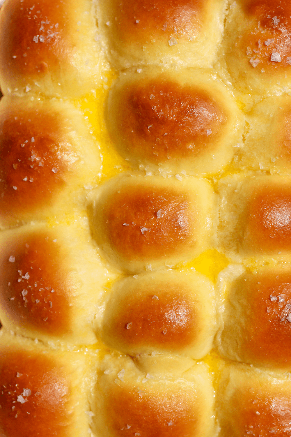 salted butter dinner rolls