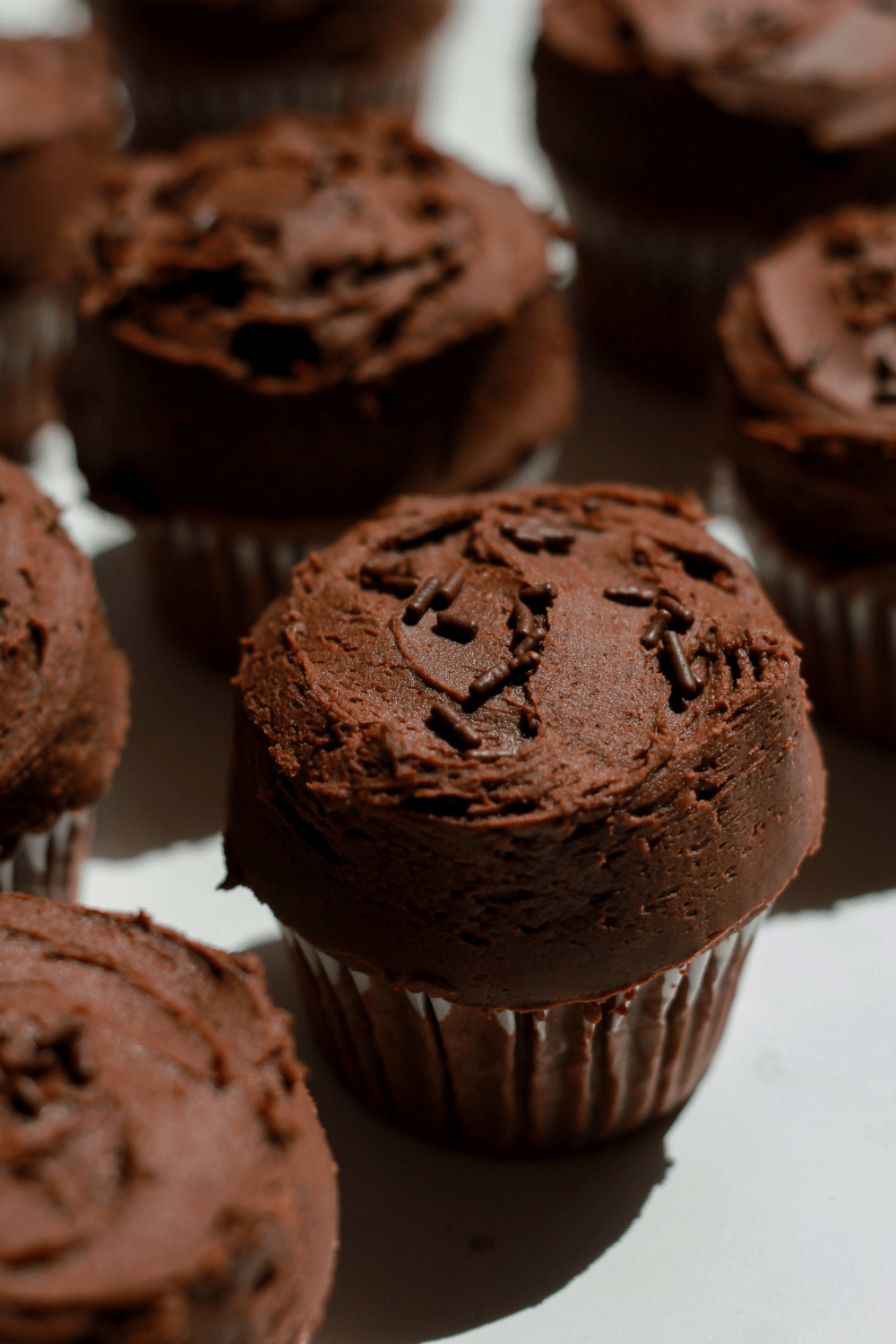 double chocolate cupcakes