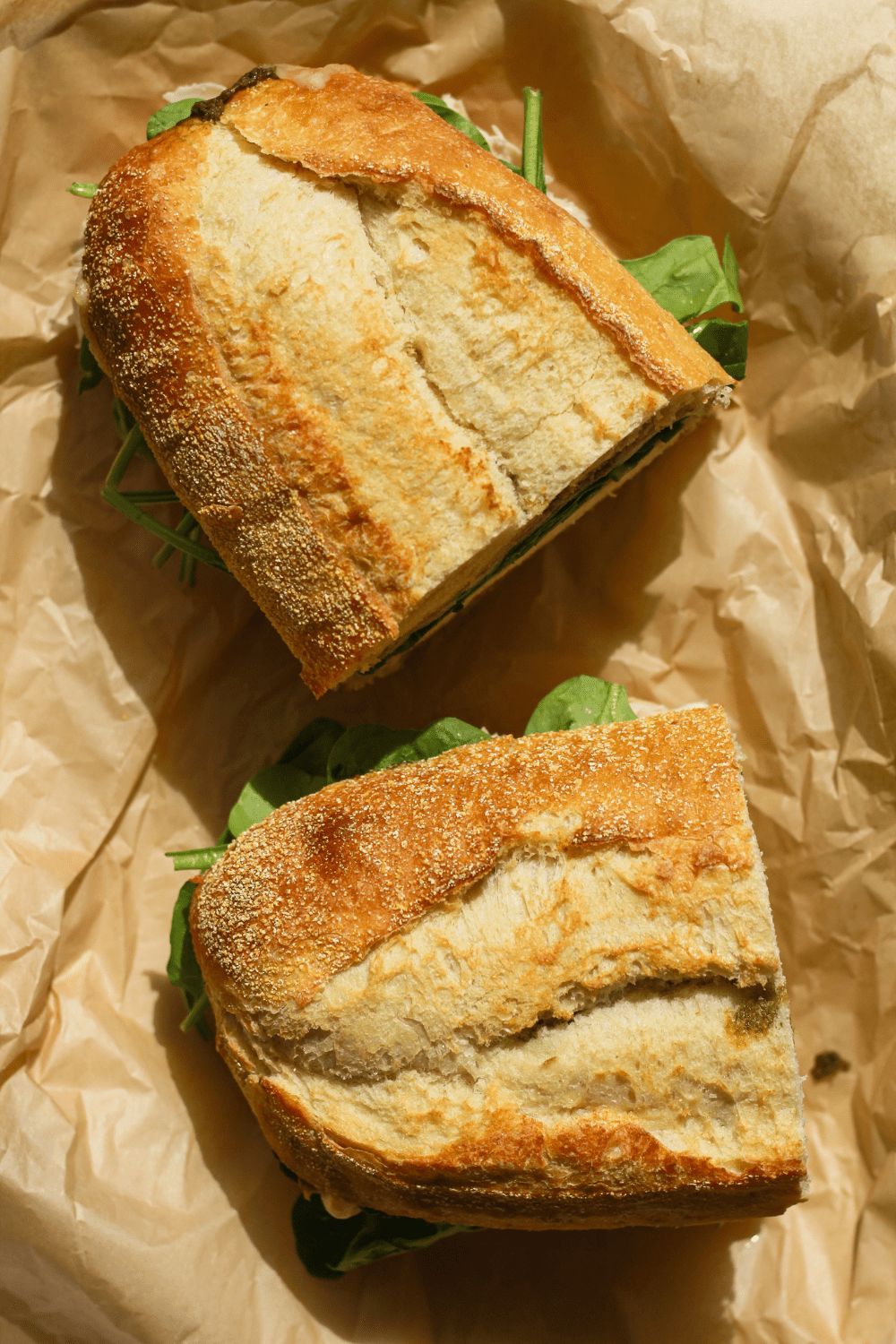 apple chicken pesto sandwich
