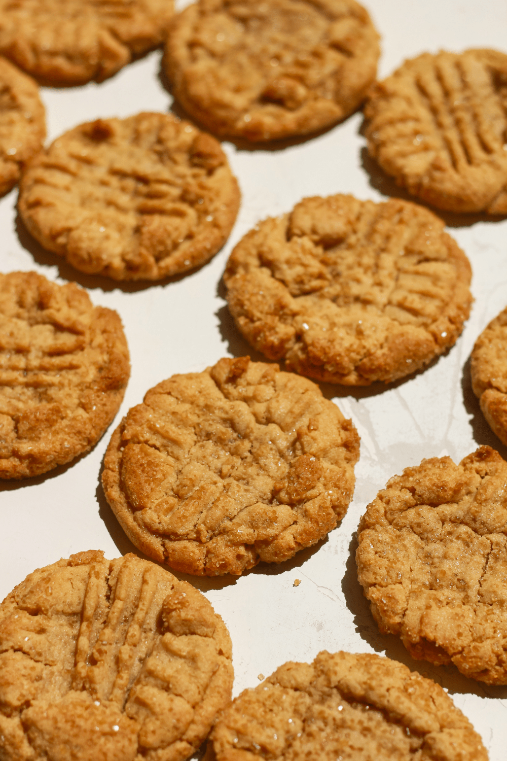 classic peanut butter cookies