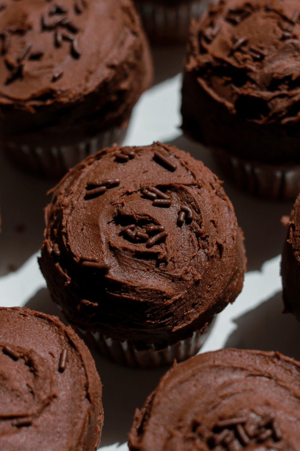 double chocolate cupcakes