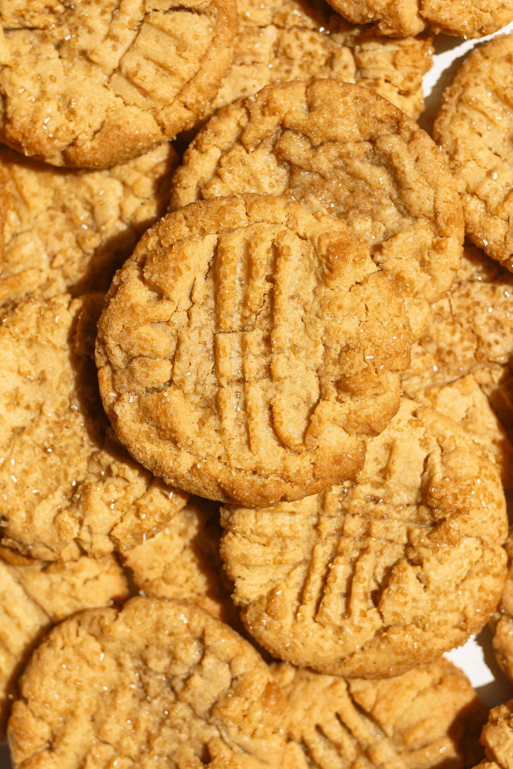 classic peanut butter cookies