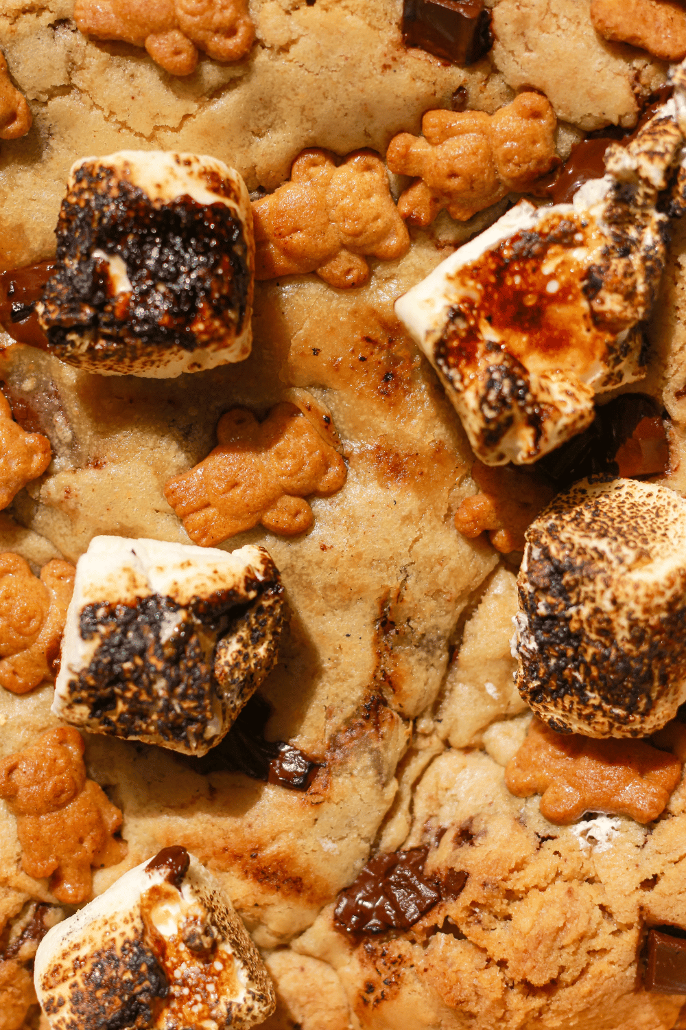 s'mores scoop cookie