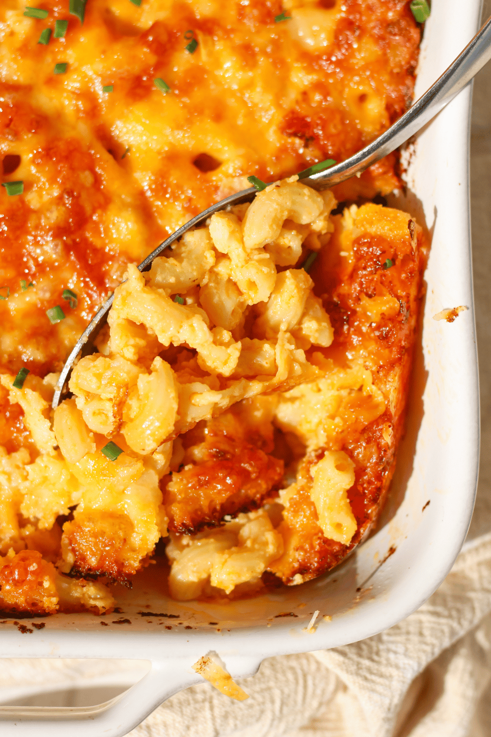 lobster mac and cheese