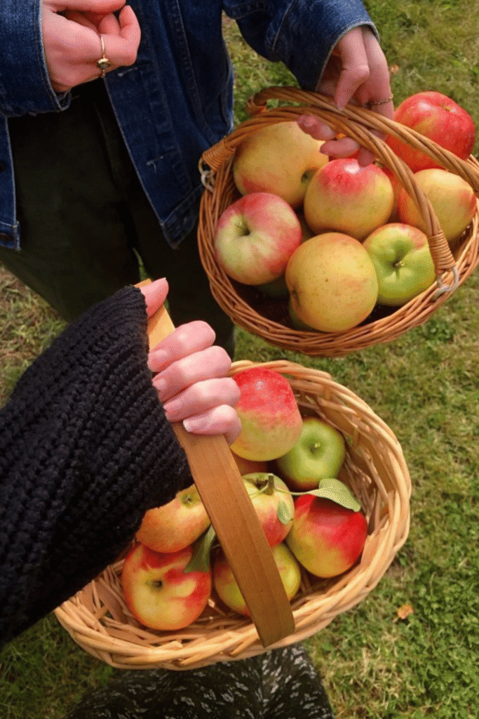 fall side quest ideas, things to do this fall, fall bucket list